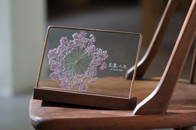 Plant illustration | Lace flower. Purple | Glass inlay | Flower and plant specimens - Dried Flowers & Bouquets - Plants & Flowers Purple