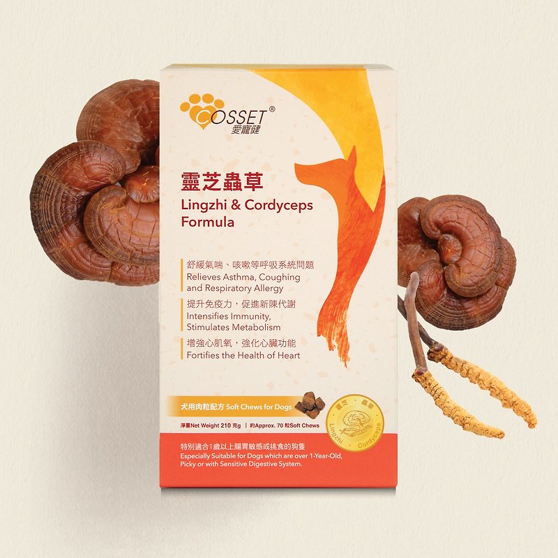 Aipetjian Ganoderma lucidum and Cordyceps Meat Granules Formula for Dogs - Dry/Canned/Fresh Food - Other Materials 