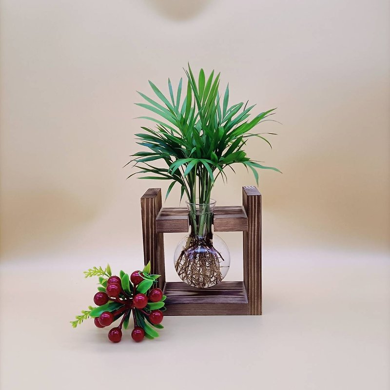 水培植物 袖珍椰子 淨化空氣 懶人植栽 創意木架 室內植物 - 植栽/盆栽 - 木頭 咖啡色