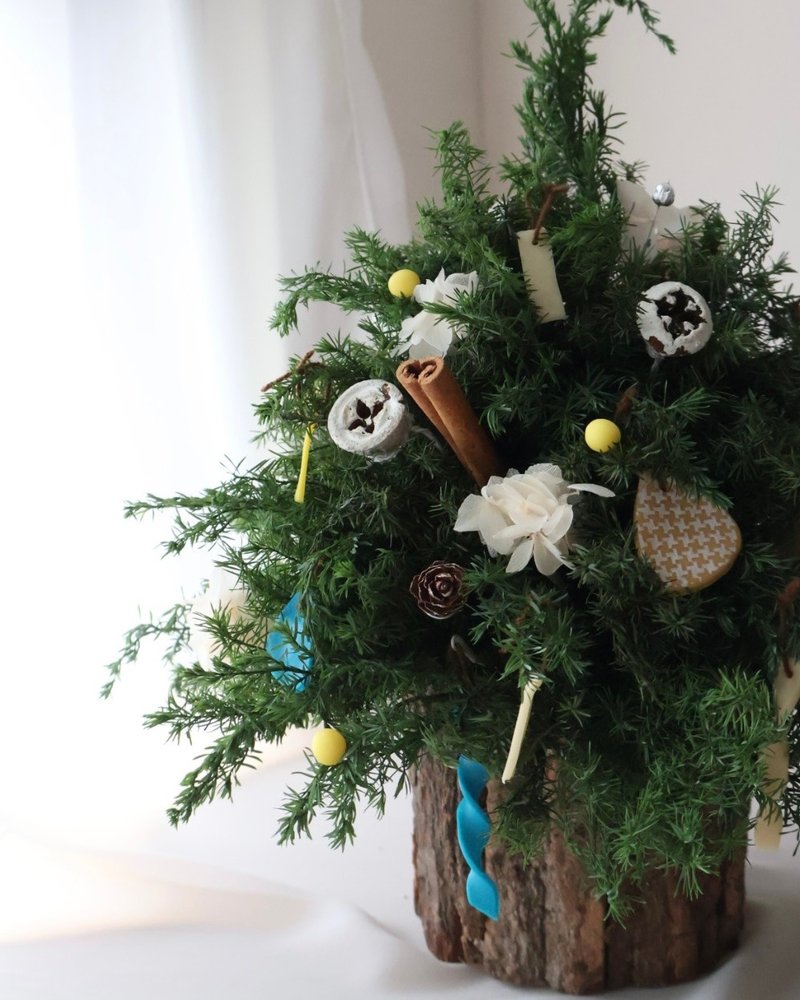 撞色聖誕樹 聖誕花圈 聖誕禮物 交換禮物 聖誕佈置 - 乾燥花/永生花 - 植物．花 多色