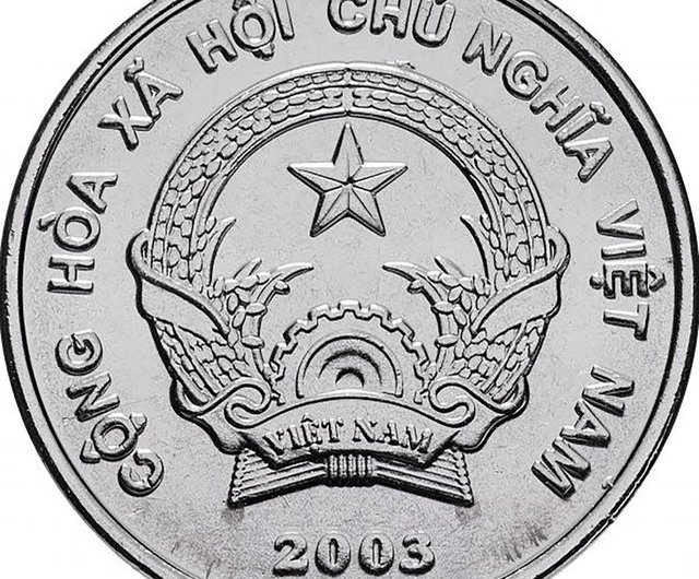 ベトナムコインリング 5000 ドン 2003 コインリング男性用