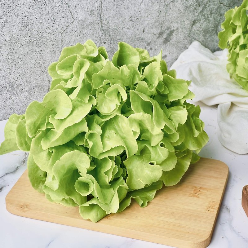 [Danyun Hydroponic Lettuce] Green Oak 150g, Lettuce, Salad, Lettuce, Hydroponic Vegetables - Other - Fresh Ingredients 