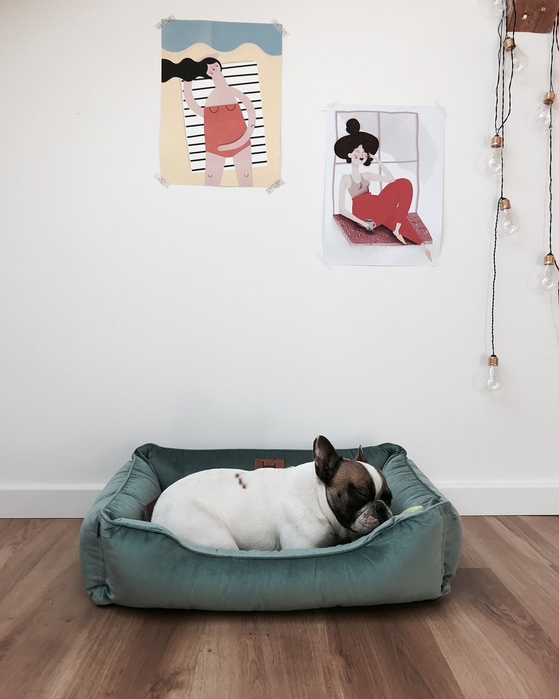 Pet bed Turquoise velour mat for small dog S Size 60x45 cm - 寵物床 - 其他材質 藍色