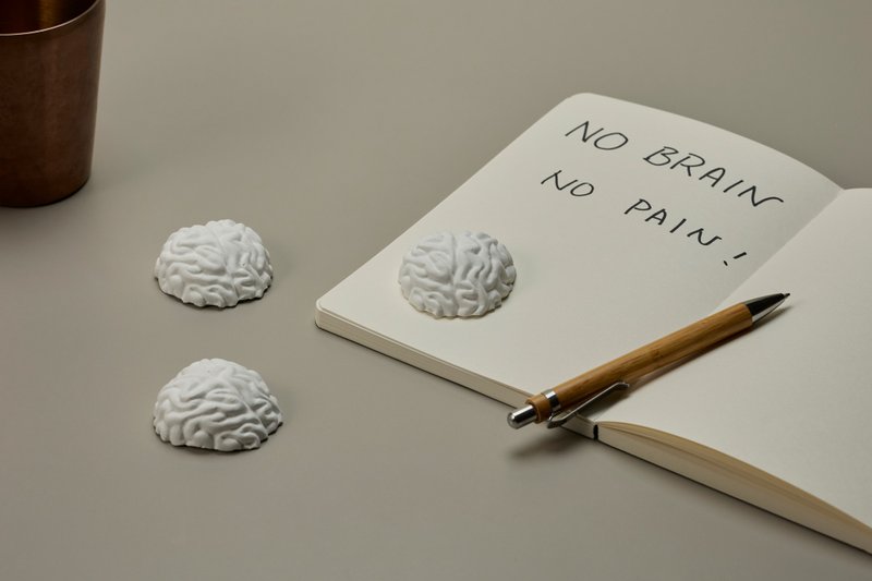 【生命座標系列】大腦 擴香石 | 半立體簡約造型 - 香氛/精油/擴香 - 其他材質 白色