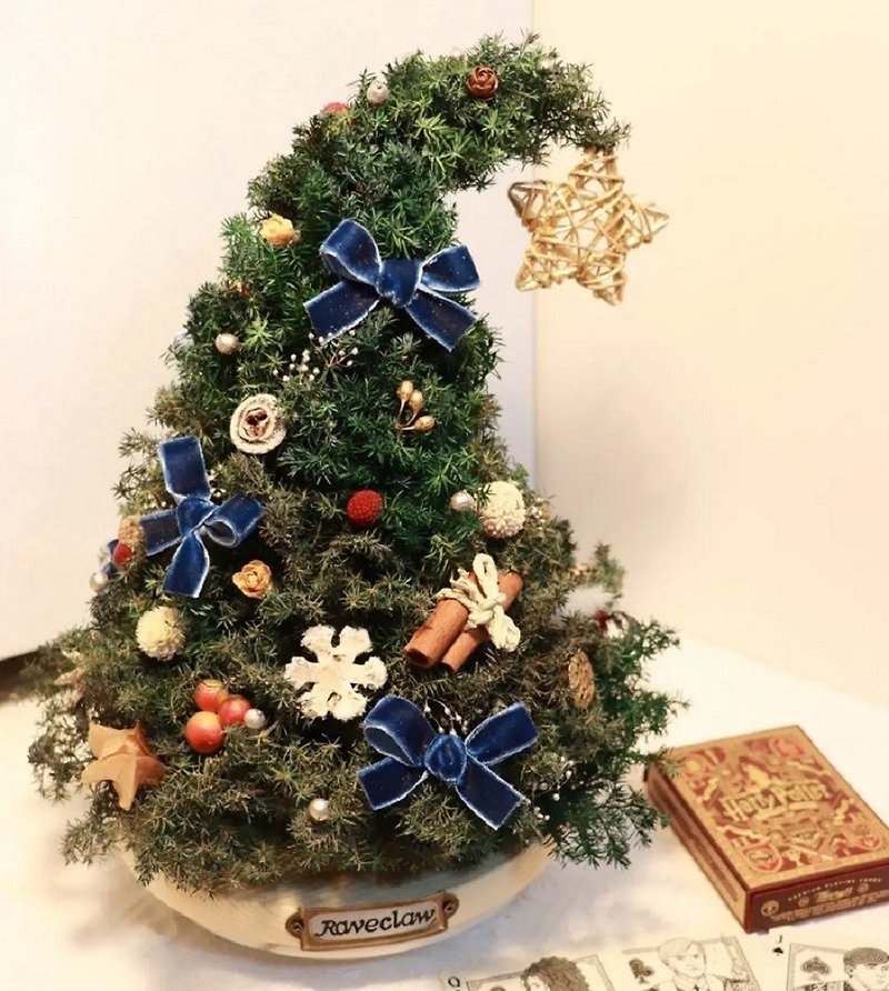 【クリスマスプレゼント】枯れない杉魔法使いの帽子交換プレゼントの独占販売 - 置物 - 寄せ植え・花 グリーン