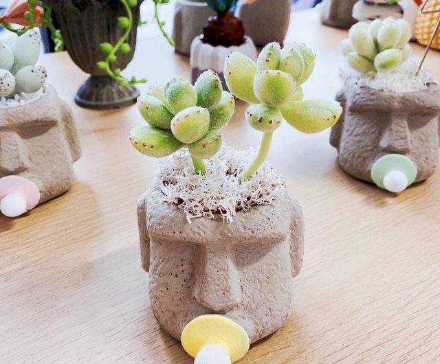 手作り粘土シミュレーション多肉植物クマボーイ鉢植えベビーアザラシ