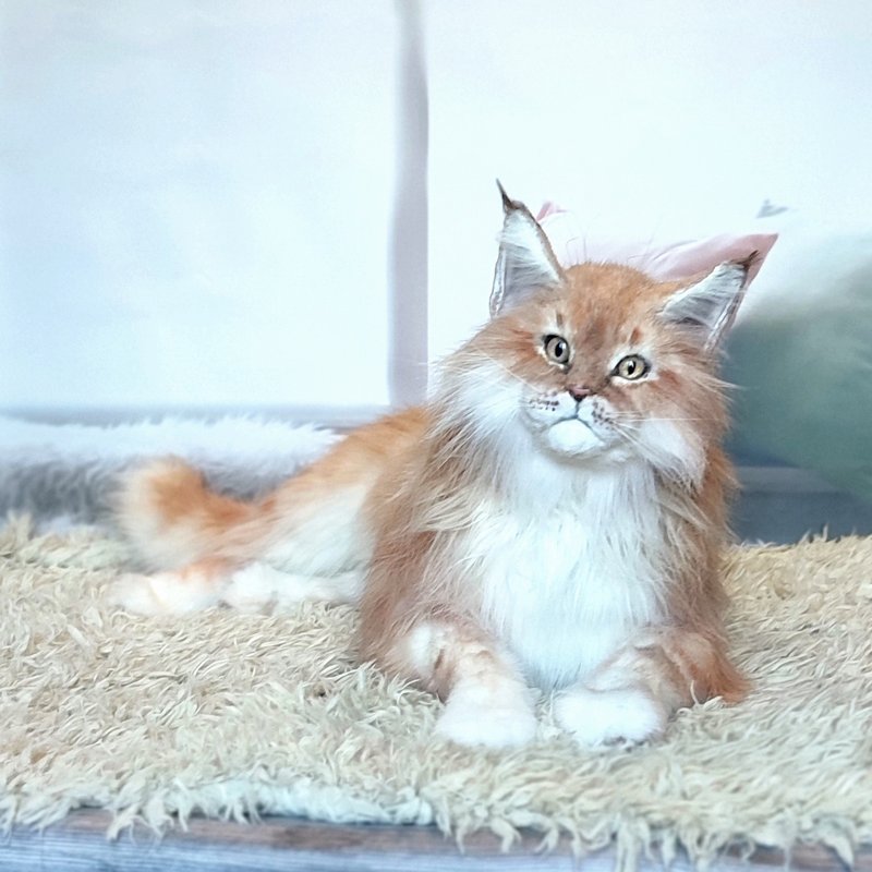 Maine Coon Realistic Cat Art Doll OOAK Artificial Stuffed Animal Plush Soft Toy - ตุ๊กตา - วัสดุอื่นๆ สีส้ม