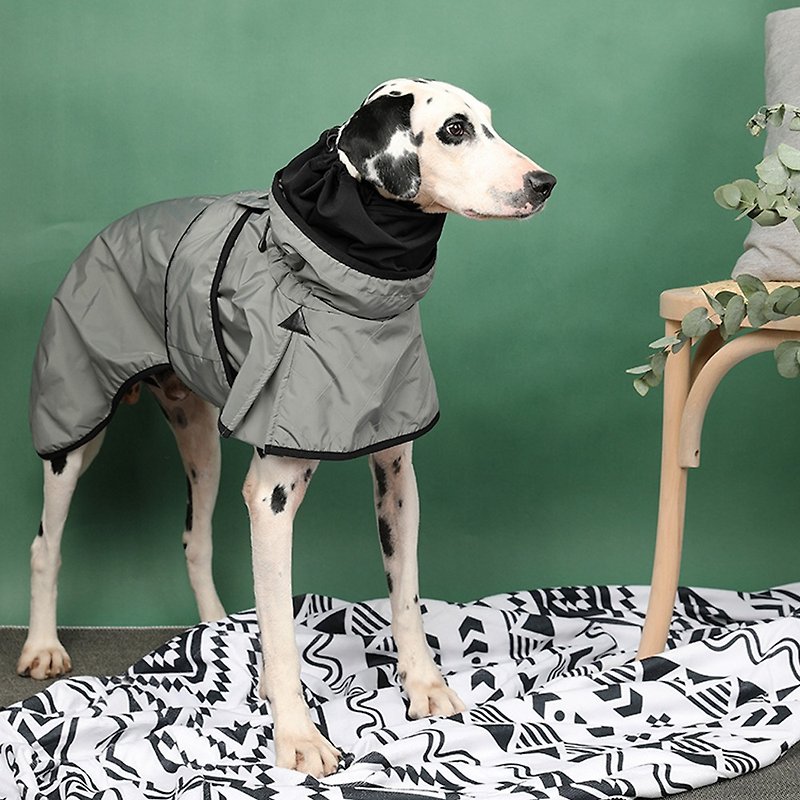 [Mid-year discount of 40% off for 2 pieces] Fashionable and quick-wear windbreaker for dogs-grey green Pawsholic fan - ชุดสัตว์เลี้ยง - ไนลอน 