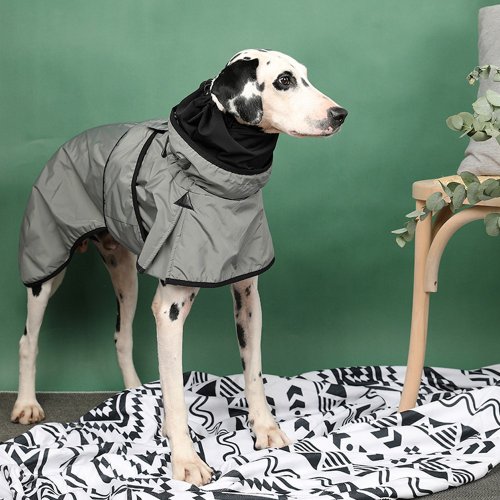 Pawsholic 爪迷 狗狗時尚快穿風衣-灰綠色 Pawsholic爪迷
