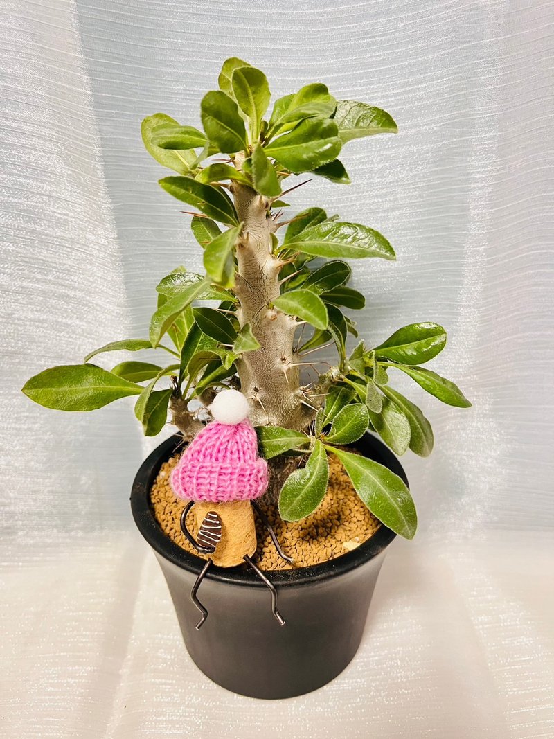 Baima City stick tree root plant with exclusive design cork man - ตกแต่งต้นไม้ - พลาสติก สีดำ