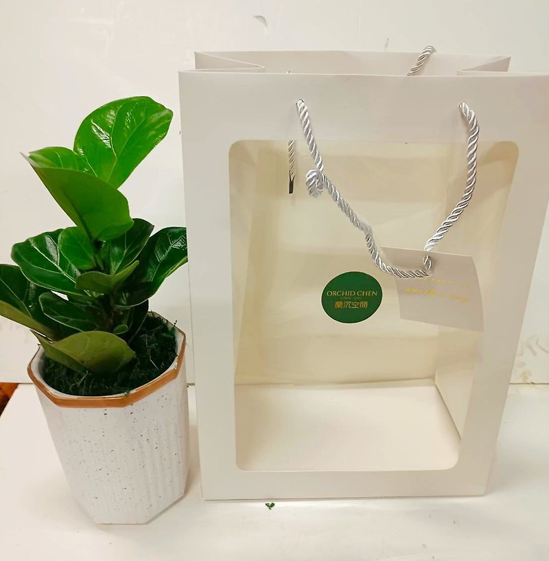 [Recommended by the boss] Simple and fashionable style Qin Yerong desktop potted plant gifts for personal use - ตกแต่งต้นไม้ - ดินเผา 