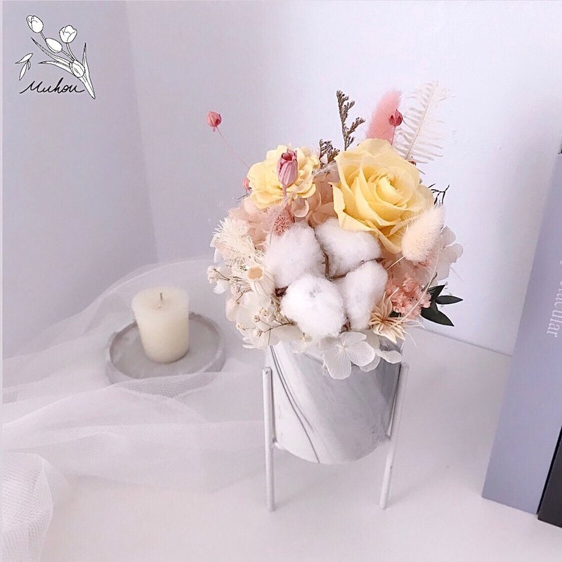 永生花高腳盆花 不凋花 乾燥花 - 乾燥花/永生花 - 植物．花 