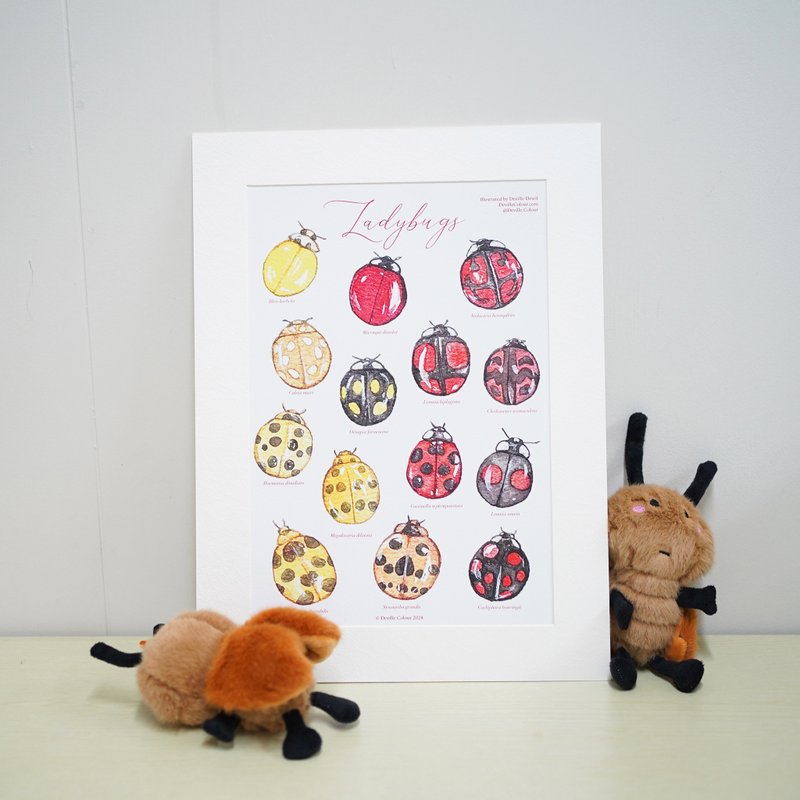 【Miss Ladybugs】Watercolour Illustrated Encyclopedia A4 Art Print - โปสเตอร์ - กระดาษ สีแดง