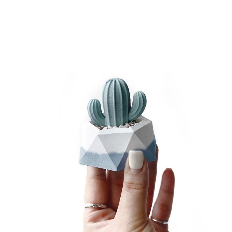 (Pre-order) Morandi Blue Series | Cactus-shaped Cement diffuser Stone combination office planting for lazy people - ของวางตกแต่ง - ปูน สีน้ำเงิน