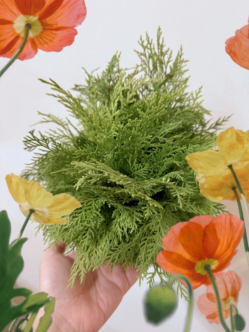 花園哩趣 DAILY GARDEN 新鮮扁柏迷你聖誕樹 - 乾燥花/永生花 - 植物．花 綠色