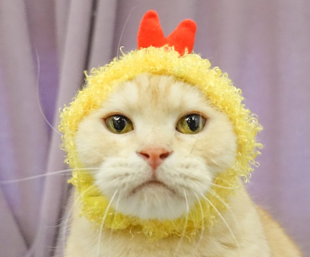 エビフライの天ぷらペット猫と犬の帽子のヘッドギア Sサイズ ショップ Fluffy Paws Studio 洋服 帽子 Pinkoi