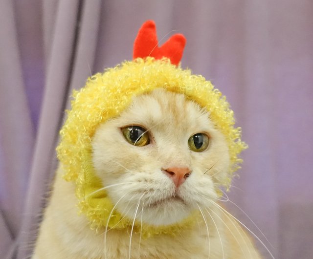 エビフライの天ぷらペット猫と犬の帽子のヘッドギア Sサイズ ショップ Fluffy Paws Studio 洋服 帽子 Pinkoi
