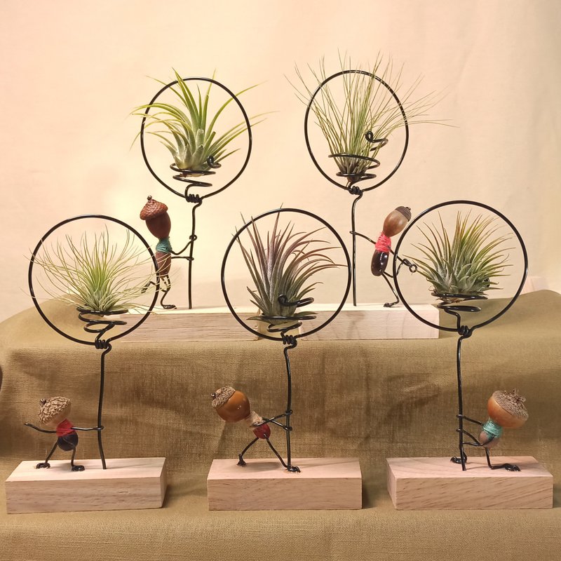 【Air Pineapple Balloons】Five kinds of small oak man-made shapes - Plants - Other Materials Black