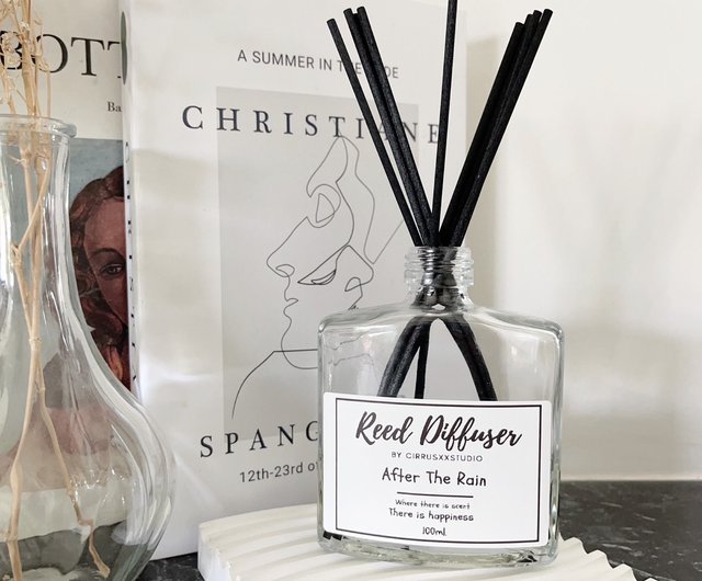 Reed Diffusers SILVER BOTTLE Scented Room Fragrance Aromatherapy