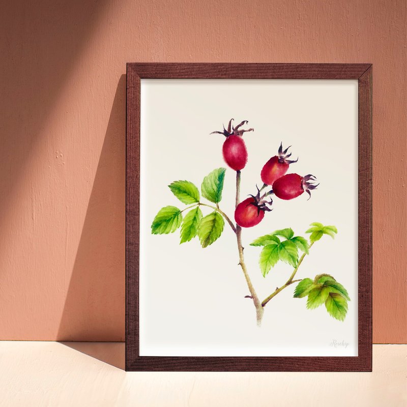 KITCHEN GARDEN Kitchen restaurant painting plant watercolor copy painting rose hip decorative painting - โปสเตอร์ - กระดาษ หลากหลายสี