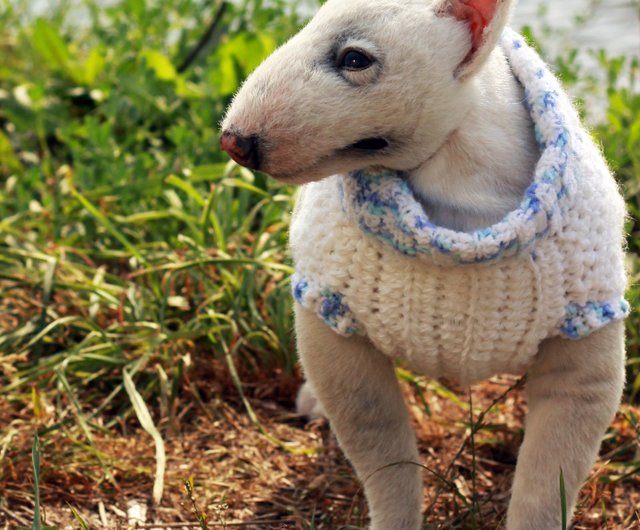 English bull terrier stuffed animal online