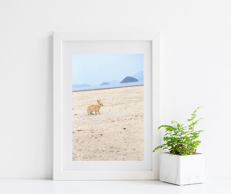 Original limited edition rabbit photography art-Bunny on the beach - Items for Display - Paper Blue