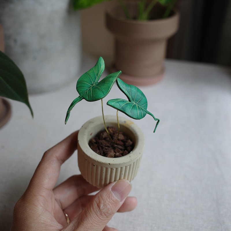 魟魚觀音蓮觀葉植物皮革盆栽 - 盆栽/植栽 - 真皮 綠色