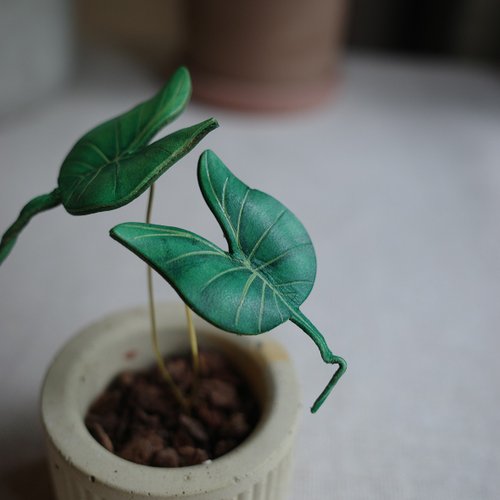 スティングレイアロカシア観葉植物レザー鉢植え - ショップ Huan's