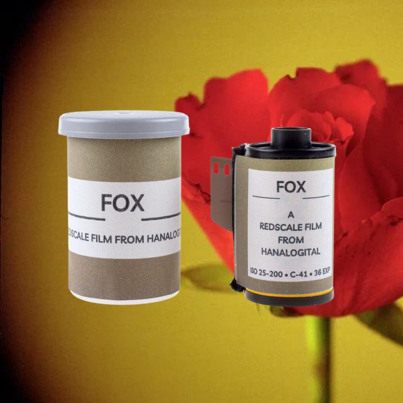 【Hanalogital】FOX 200度 36張 彩色負片菲林 | 特效菲林 - 相機/拍立得/底片相機 - 其他材質 