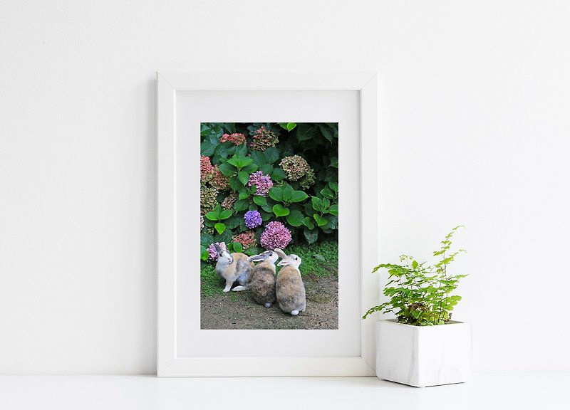 Rabbit Photography Giclee Works - Wait and See - Posters - Paper Purple