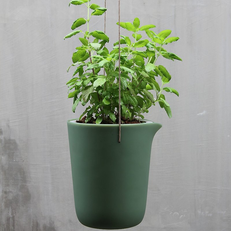 QUALY OASIS-水なし丸型植木鉢 S - 観葉植物 - プラスチック 多色