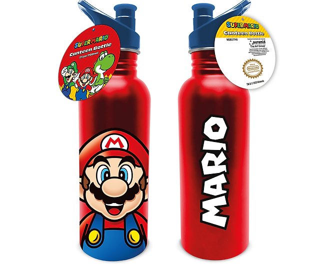 Official Nintendo Super Mario Bros Metallic Bottle,700mL - Shop Pyramid  Branded Zone Pitchers - Pinkoi