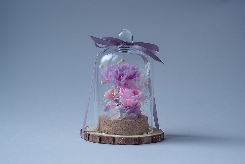 恆星鐘罩康乃馨-紫 - 乾花/永生花 - 植物．花 紫色