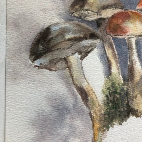 蘑菇原創水彩描牆藝術 キノコのオリジナル水彩画ウォールアート