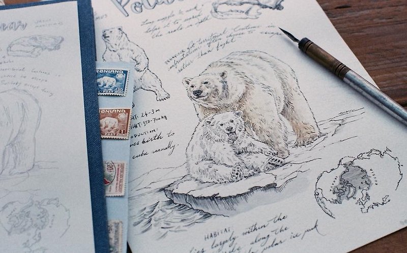 野生動物系列卡片-北極熊 - 心意卡/卡片 - 紙 