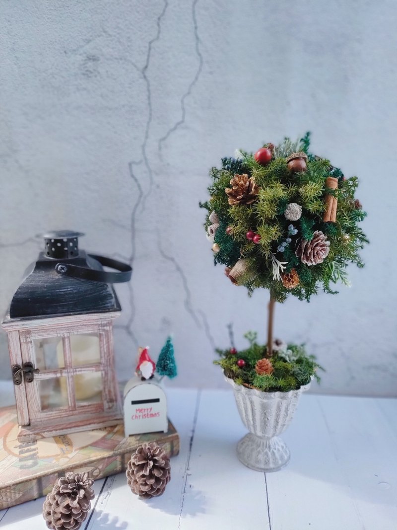 (In Stock) Eternal Life Ball Christmas Tree Christmas Gift Arrangement - ช่อดอกไม้แห้ง - พืช/ดอกไม้ สีเขียว