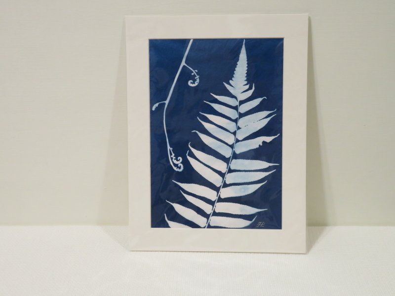 Botanic Cyanotype Framed Art Piece - ตกแต่งผนัง - กระดาษ สีน้ำเงิน