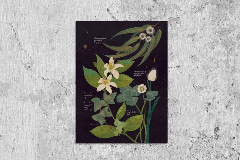 複製畫-花的呢喃圖鑑/海報/掛畫/家飾 - 海報/掛畫/掛布 - 紙 