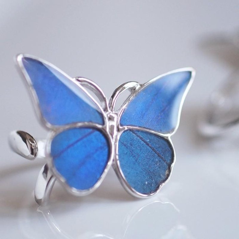 Morpho butterfly Silver ring - แหวนทั่วไป - เงินแท้ สีน้ำเงิน