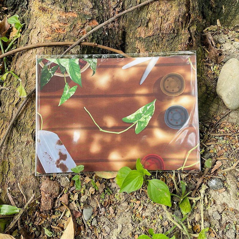 観葉植物イラストポストカード │ 斑入りコロカシア - カード・はがき - 紙 ブラウン