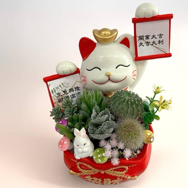 【多肉植物】仙人掌招財貓造型盆栽 開幕新居喬遷升官送禮 - 盆栽/植栽 - 陶 
