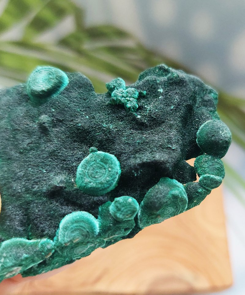 Malachite  剛果產地 絲絨 孔雀石 天然礦石 原礦 - Items for Display - Other Materials 