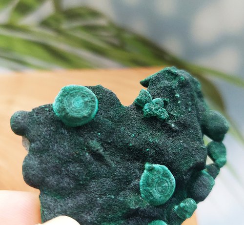 コンゴ産 ベルベットマラカイト原石 コンゴ産マラカイトベルベット石天然鉱石 - ショップ alice-gems