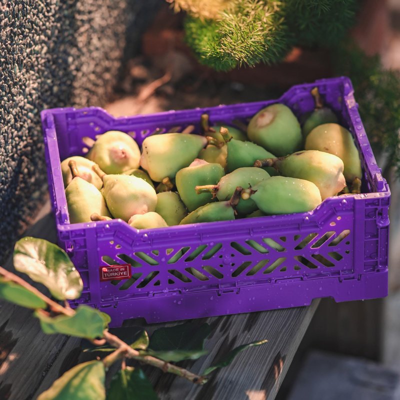 トルコアイカサ折りたたみ収納バスケット（S）-ラグジュアリーパープル - 収納用品 - プラスチック パープル