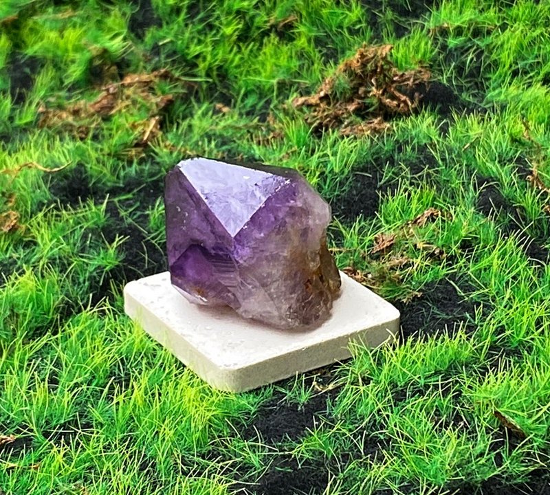 能量擺飾-天然紫晶骨幹 紫水晶 招財 智慧 開運 快速出貨 - 擺飾/家飾品 - 水晶 紫色