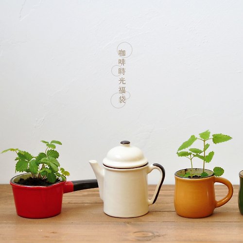 聖新陶芸 SEISHIN 咖啡時光 植栽福袋組 (三款各一隨機配色)