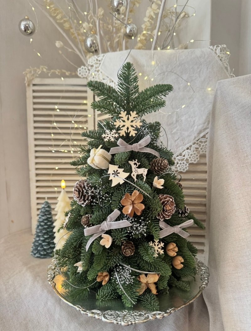 Masako 諾貝松聖誕樹 限量 - 擺飾/家飾品 - 植物．花 