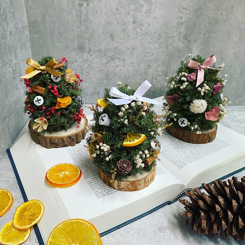 【聖誕禮物】超簡單聖誕樹材料包禮盒1.0版|手殘都會|交換禮物 - 盆栽/花藝 - 植物．花 綠色