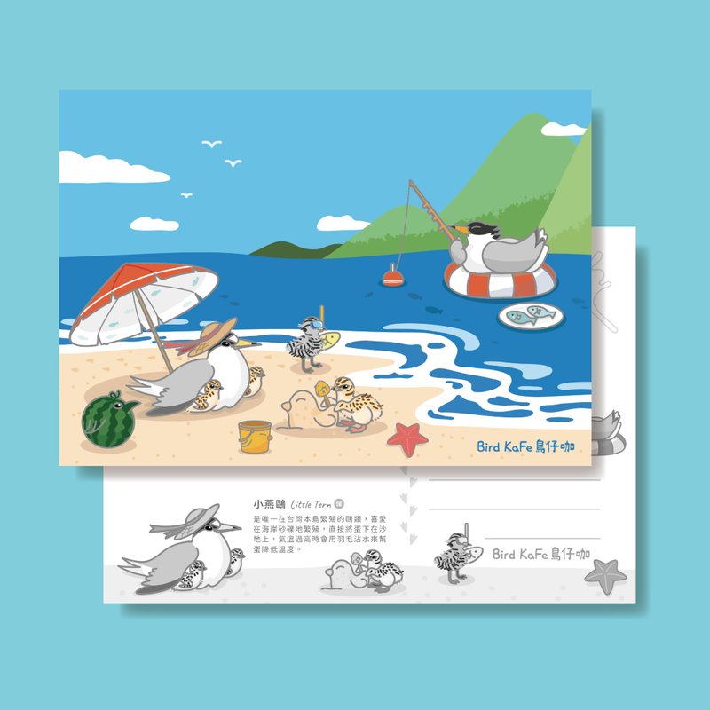 Bird Postcards | Playing in the Water with Baby Seabirds | Little Terns, Black-billed Crested Terns - การ์ด/โปสการ์ด - กระดาษ สีน้ำเงิน