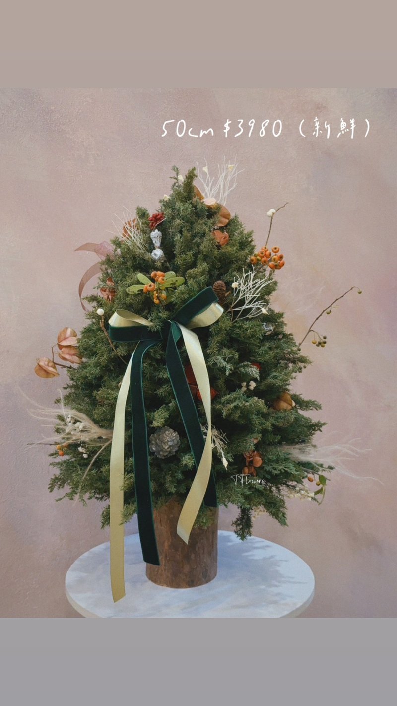 慕花亭-聖誕樹 - 乾燥花/永生花 - 植物．花 綠色